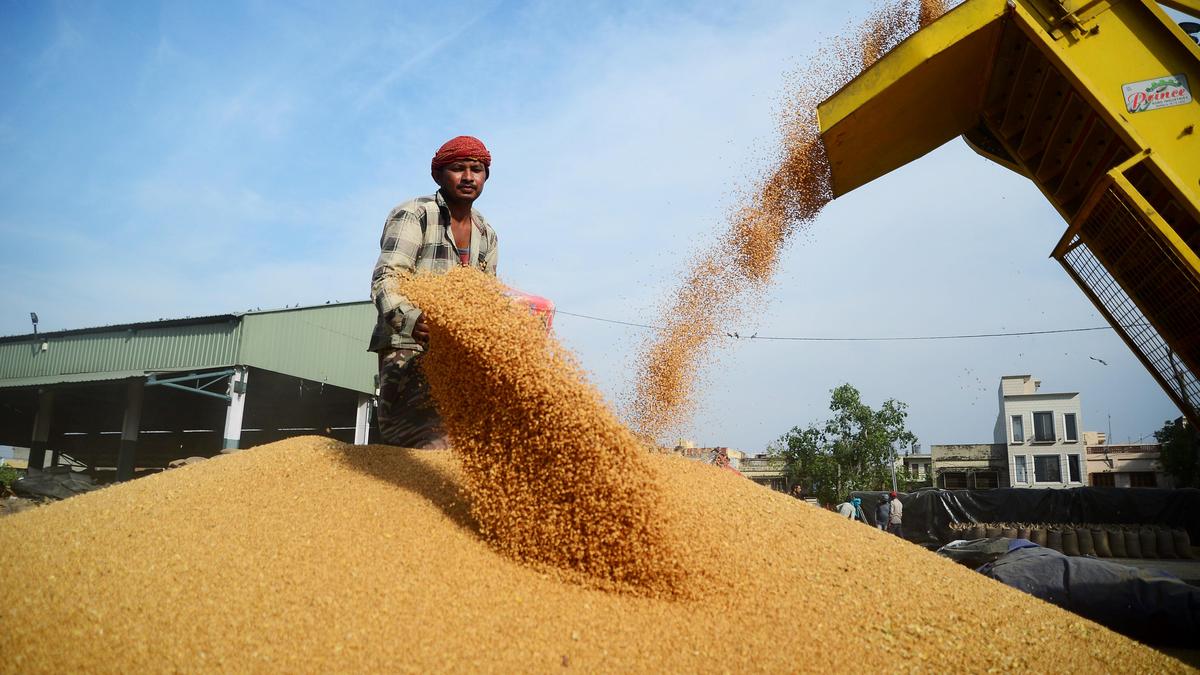 Governo aumenta comissão de Arthiya em ₹5/qtl