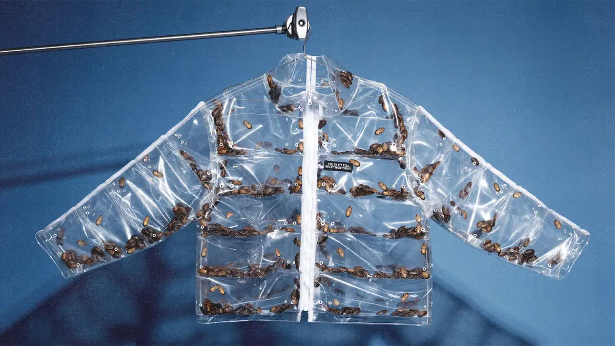 Roachcoat: moda transforma insulto em elogio