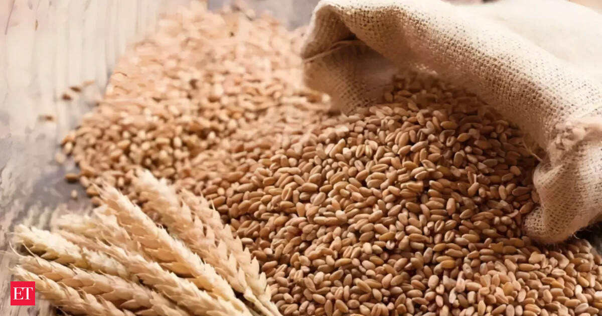 Governo define meta ambiciosa para aquisição de trigo