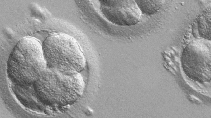 Empresa dos EUA lança campanha 'super-baby'