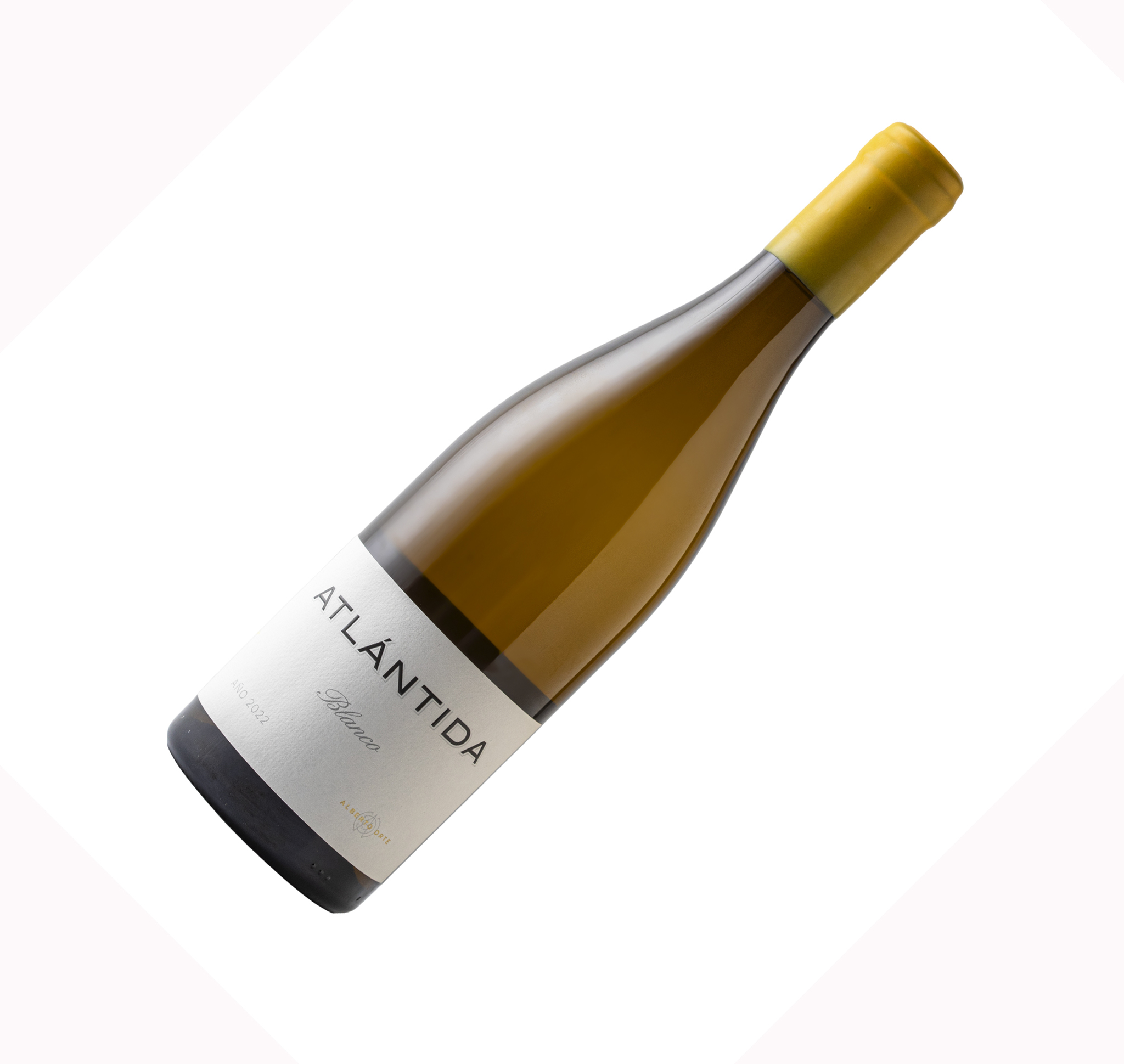 Vinhos Radicais: Autenticidade e Tradição na Espanha