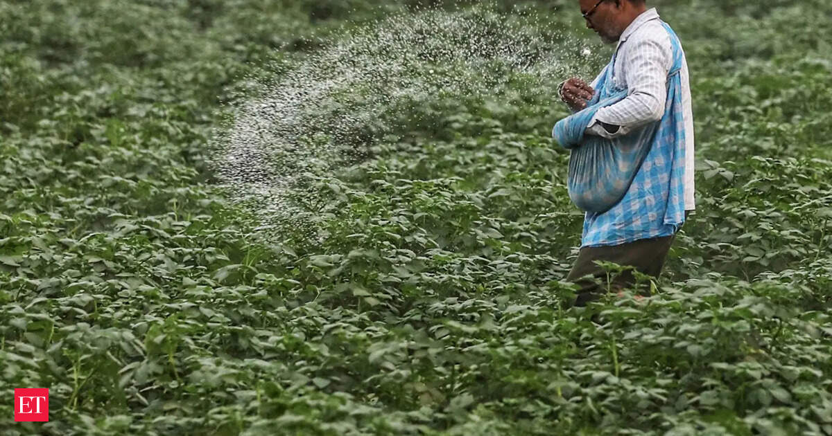 Governo Pressiona Estados Contra Mercado Negro de Fertilizantes