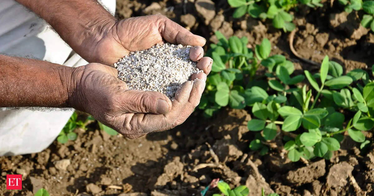 Governo Pressiona Estados Contra Mercado Negro