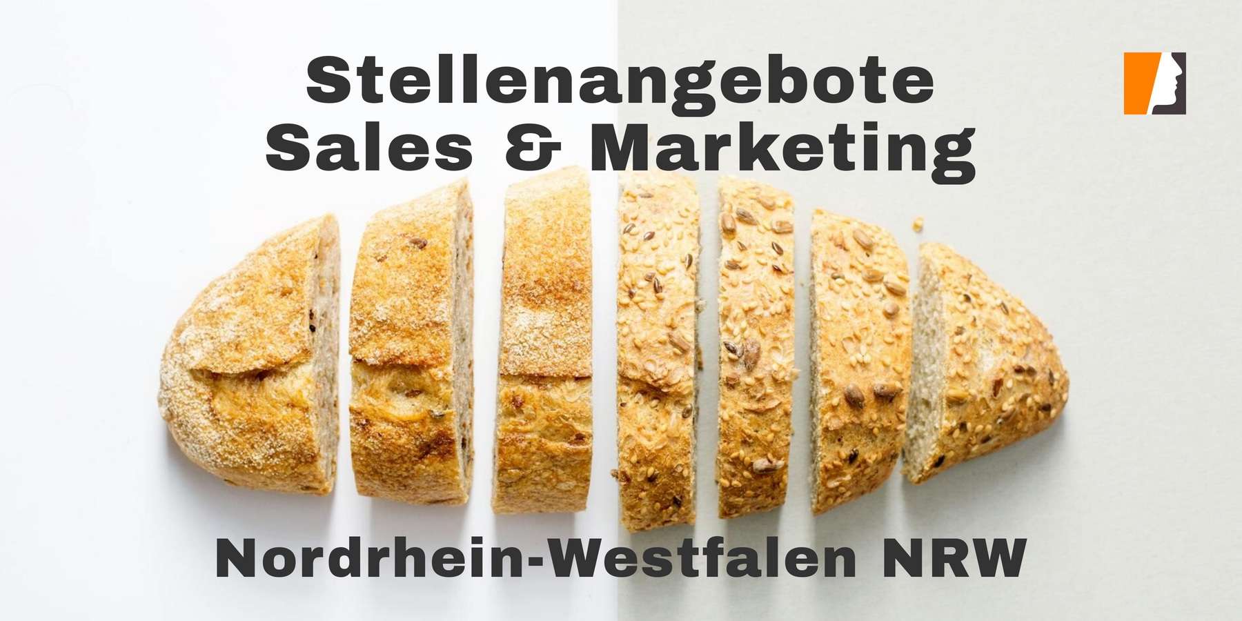 Oportunidades em Vendas e Marketing na Alemanha