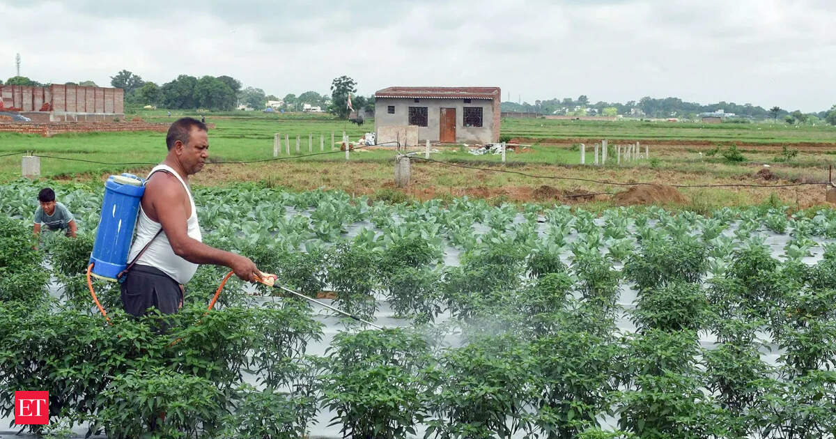 Conflito Israel-Irã afeta produção de ureia na Índia