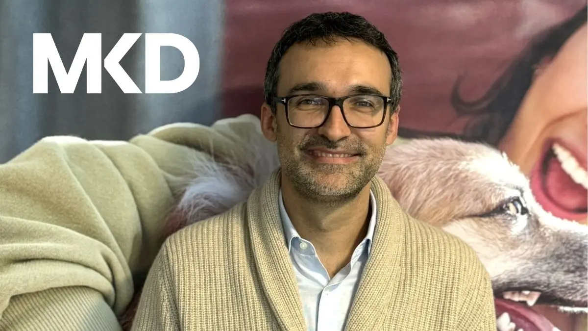 Campanha de adoção de gatos desafia estigmas