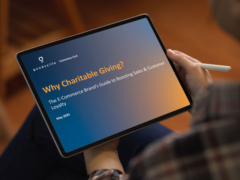 Pomp & Sass: Sustentabilidade e sucesso online