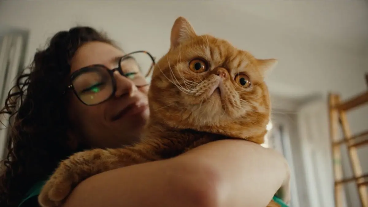 Mapfre lança campanha global 'Vamos donde vas'