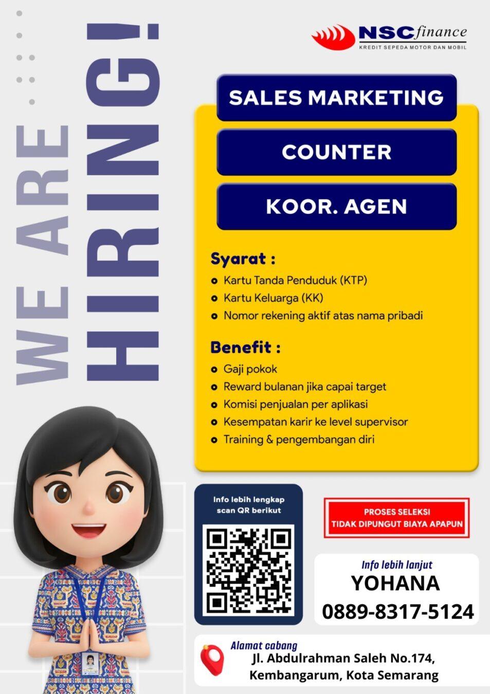 Vagas Abertas na NSC Finance para Diversas Funções