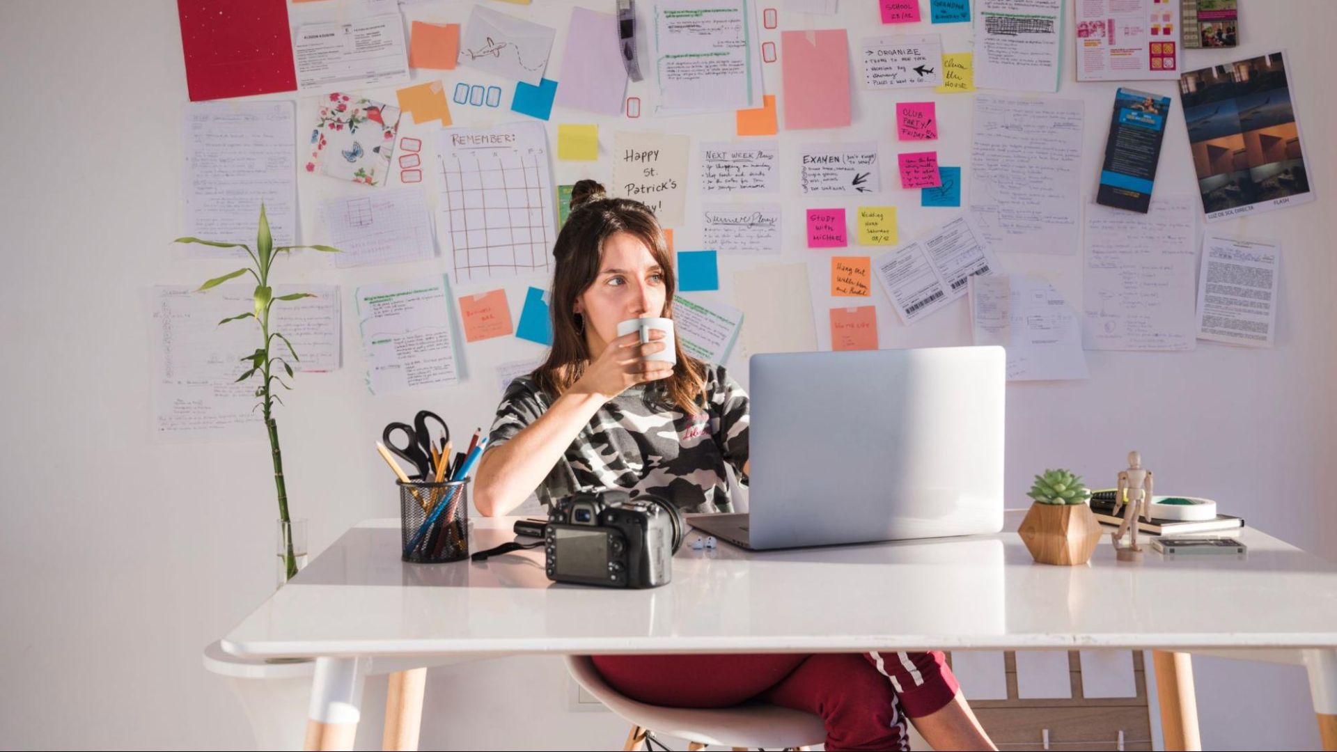 Nova lei regulamenta profissão de multimídia