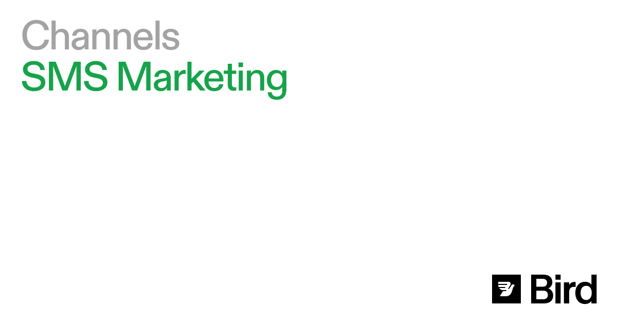 Bird lança plataforma de marketing via SMS