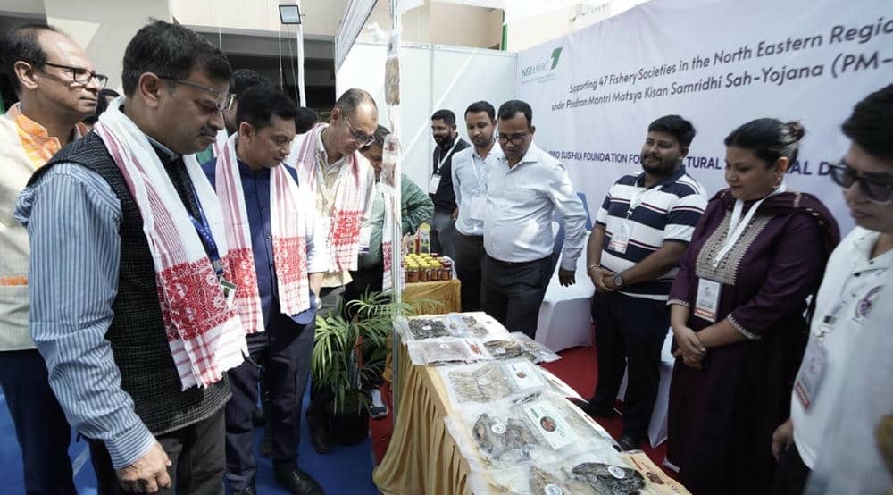 Festival de Peixes impulsiona pesca no Nordeste