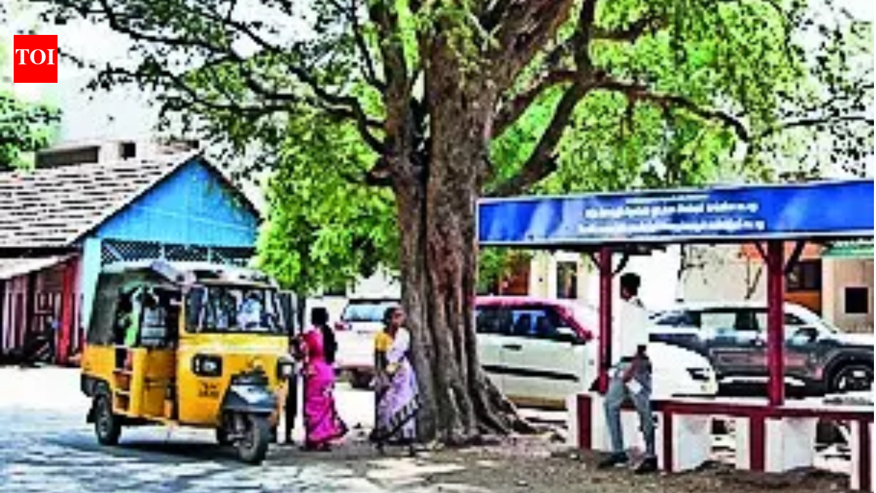 Políticos devem limpar ao sair de vila na Índia