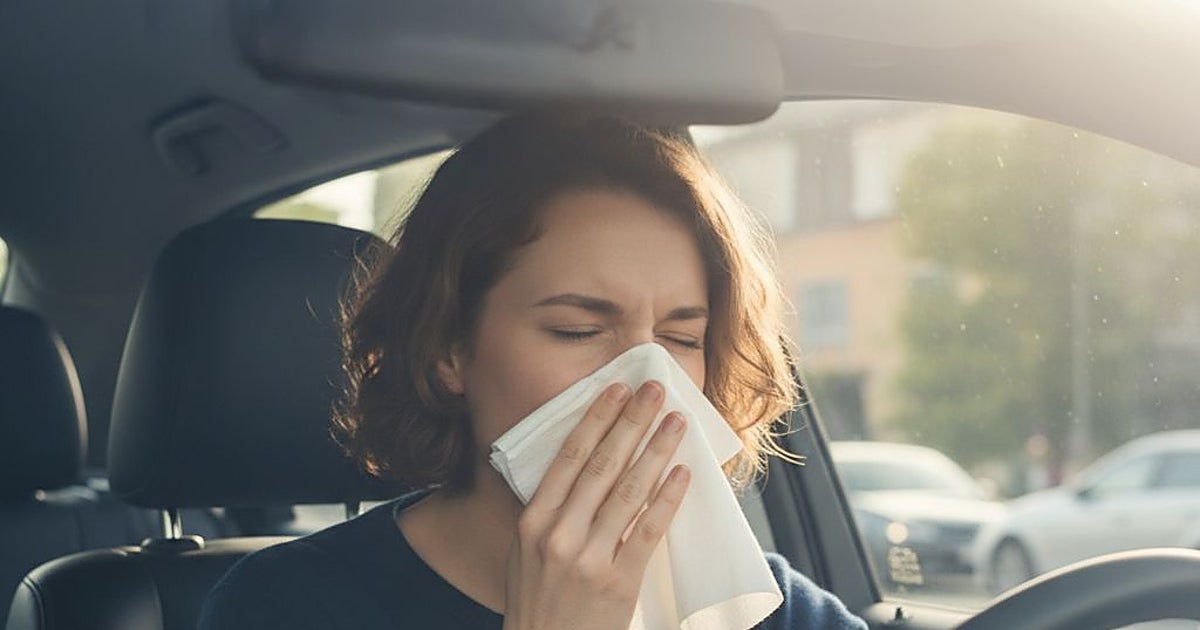 Proteja-se das alergias ao dirigir na primavera