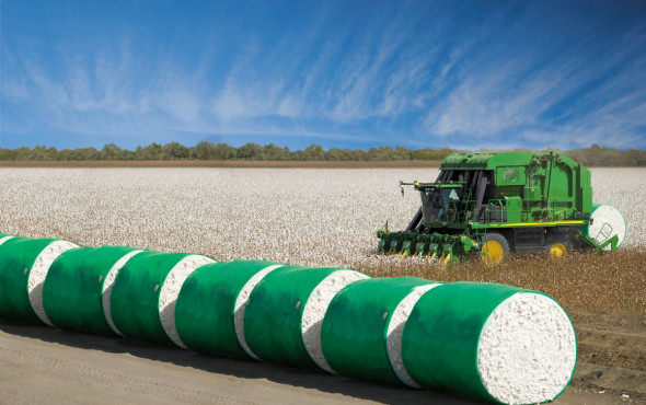 Mercado de algodão encerra semana em alta